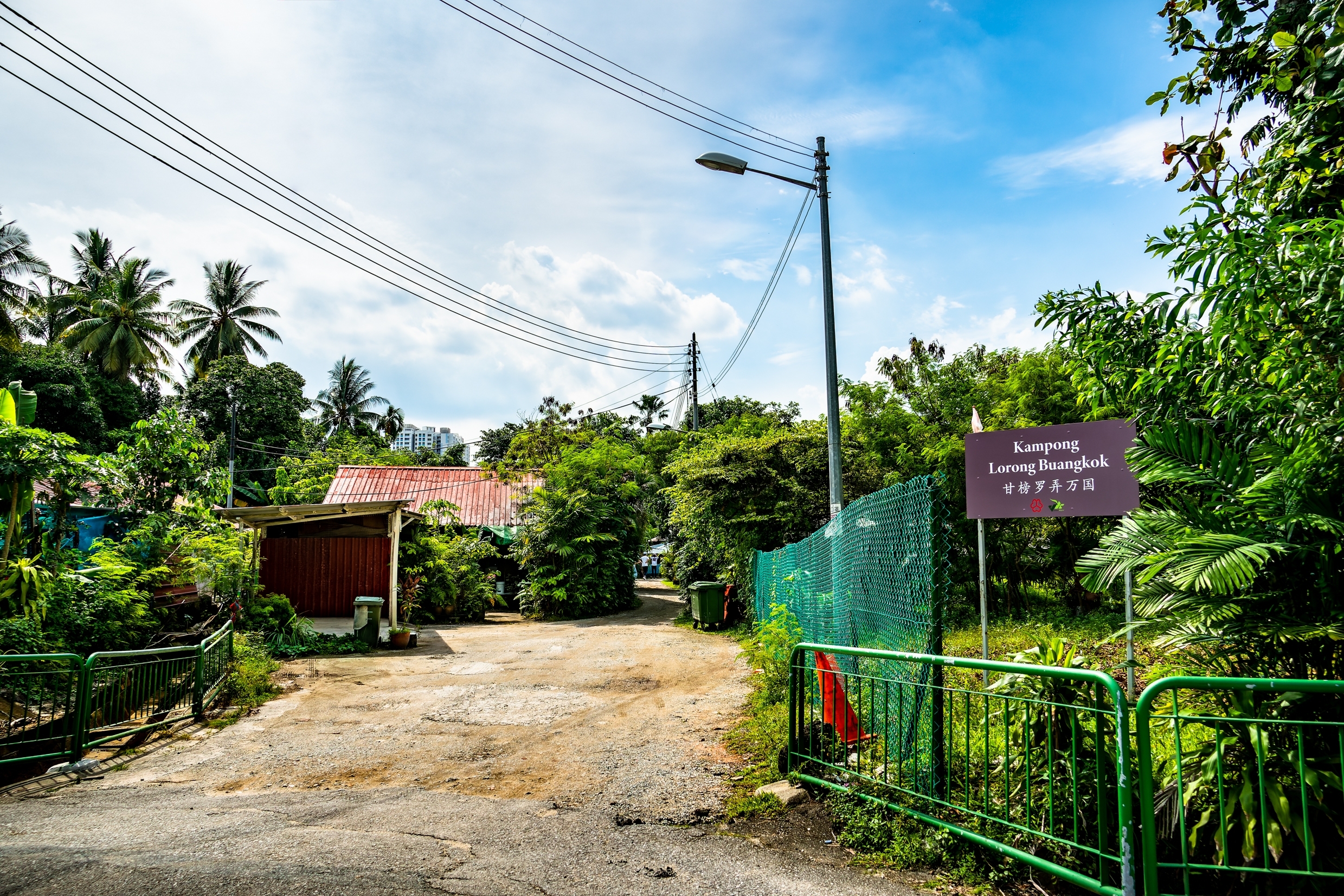 alley (colloquially known as <i>lorong</i>)