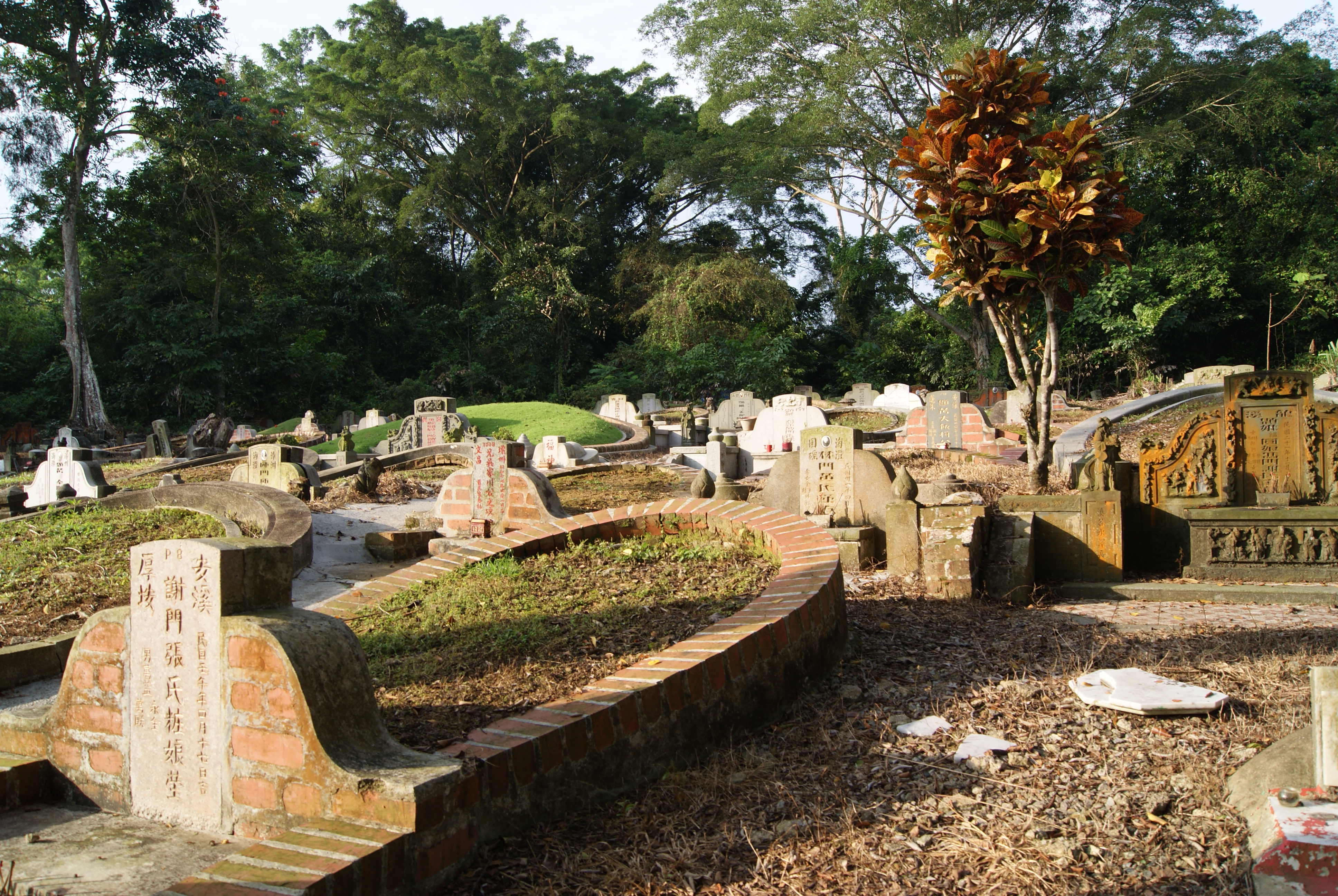 Bukit Brown (colloquially known as <i>kopi sua</i>)