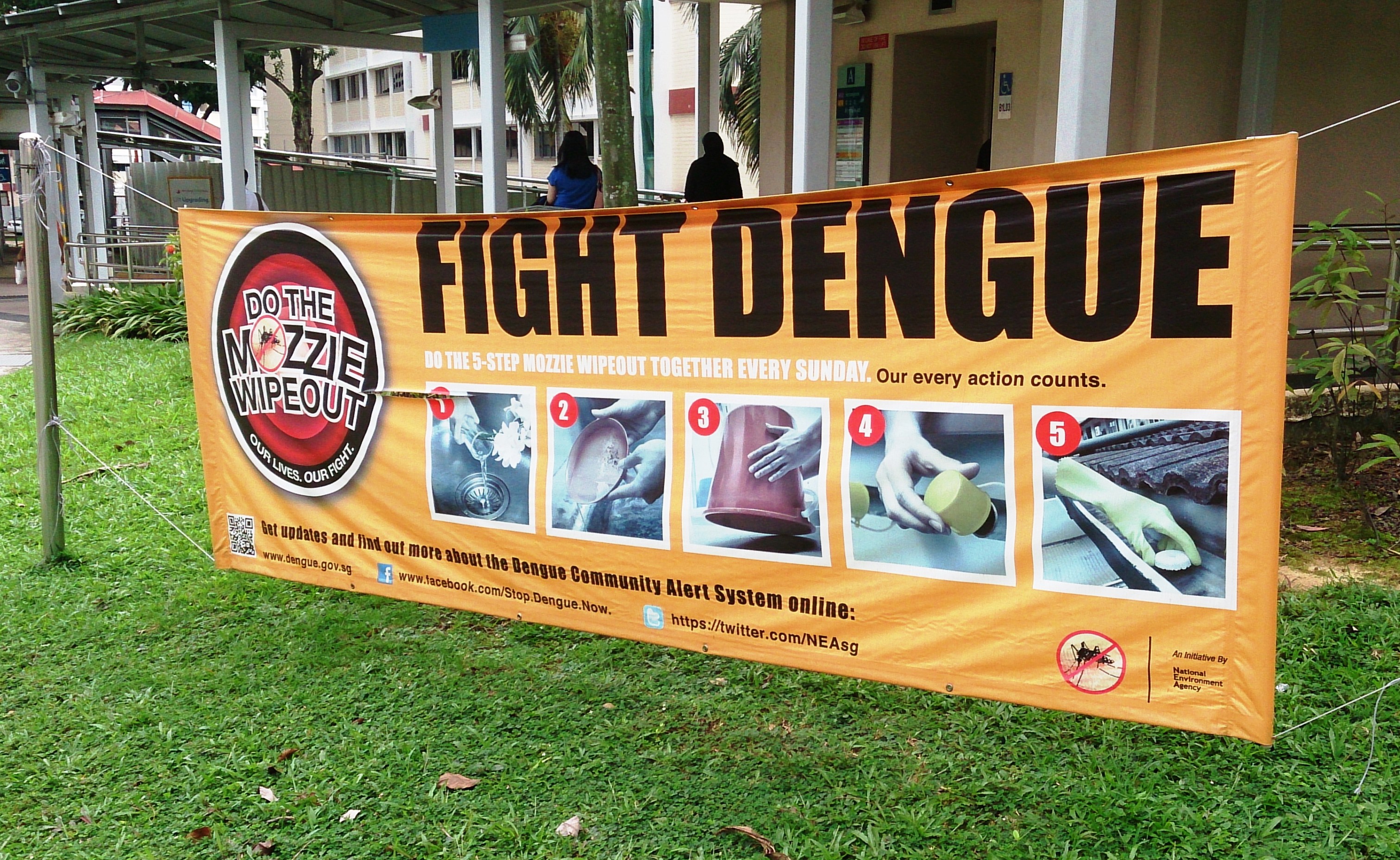dengue haemorrhagic fever