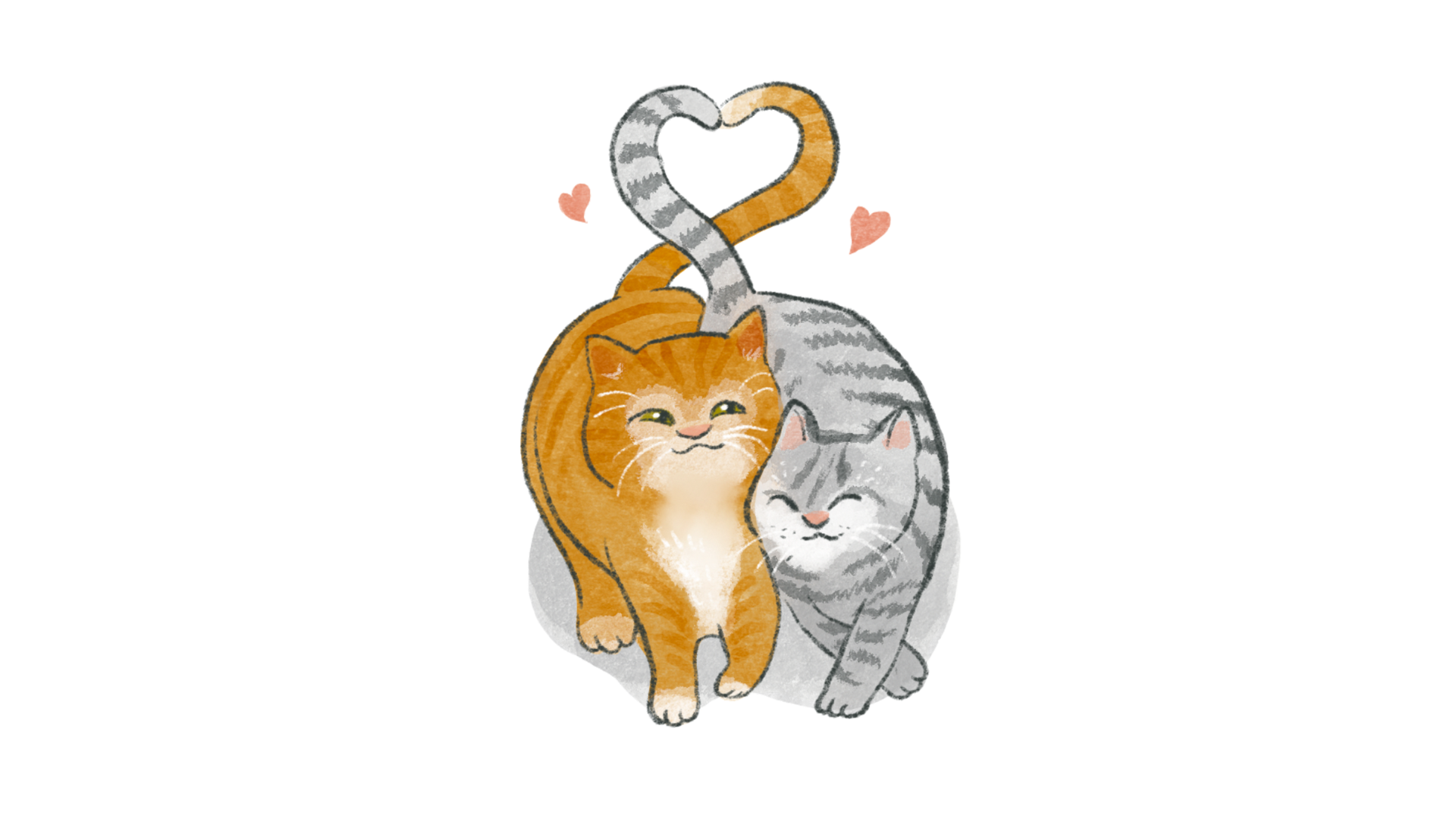 to date somebody (colloquially known as <i>paktor</i>)