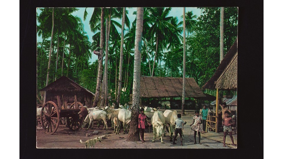 village (colloquially known as <i>kampung</i>)