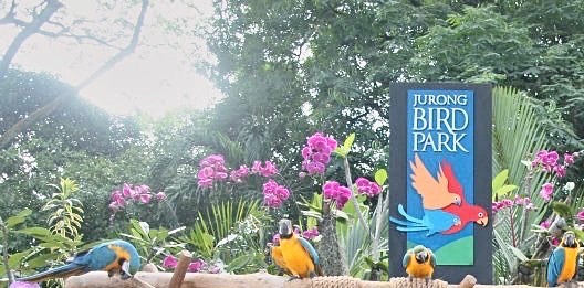 Bird Park