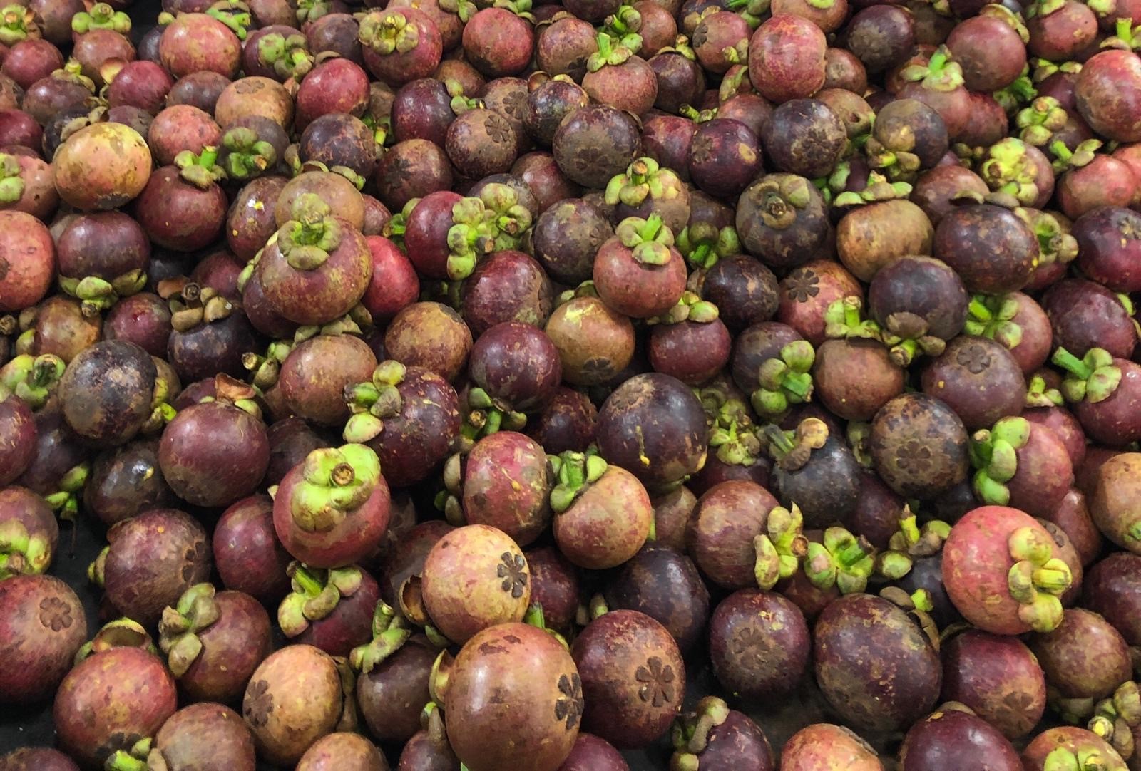 mangosteen