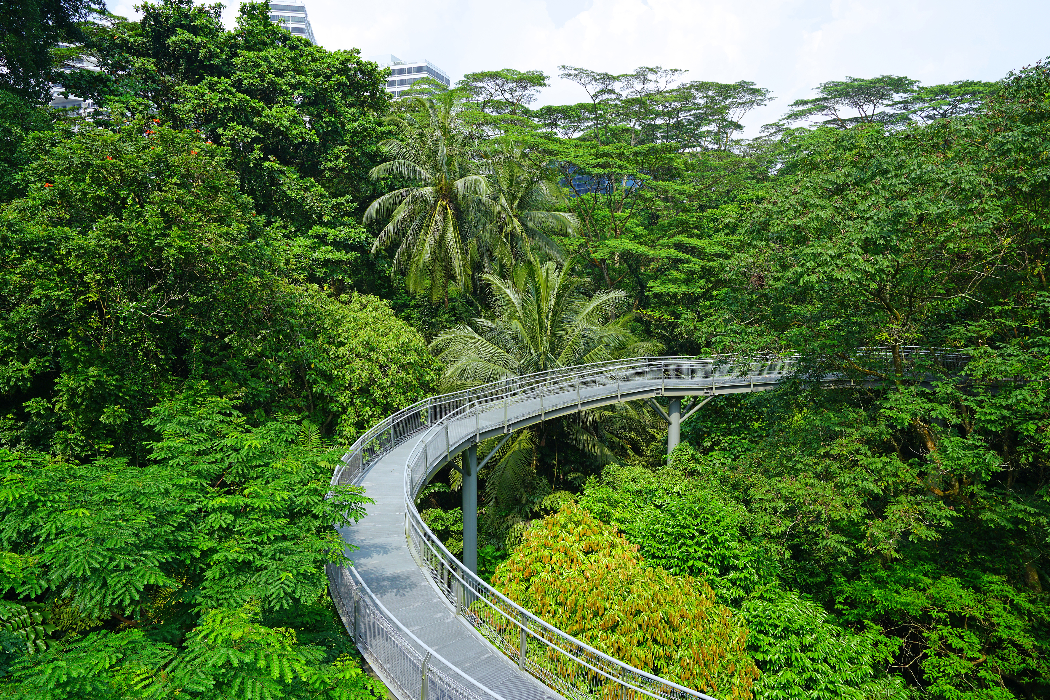 Southern Ridges