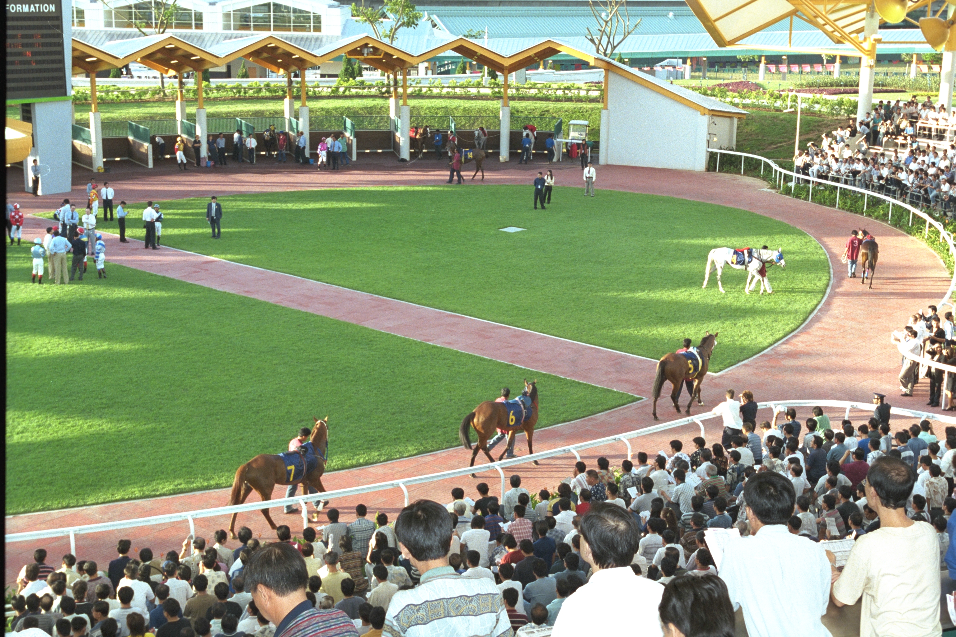 Turf Club