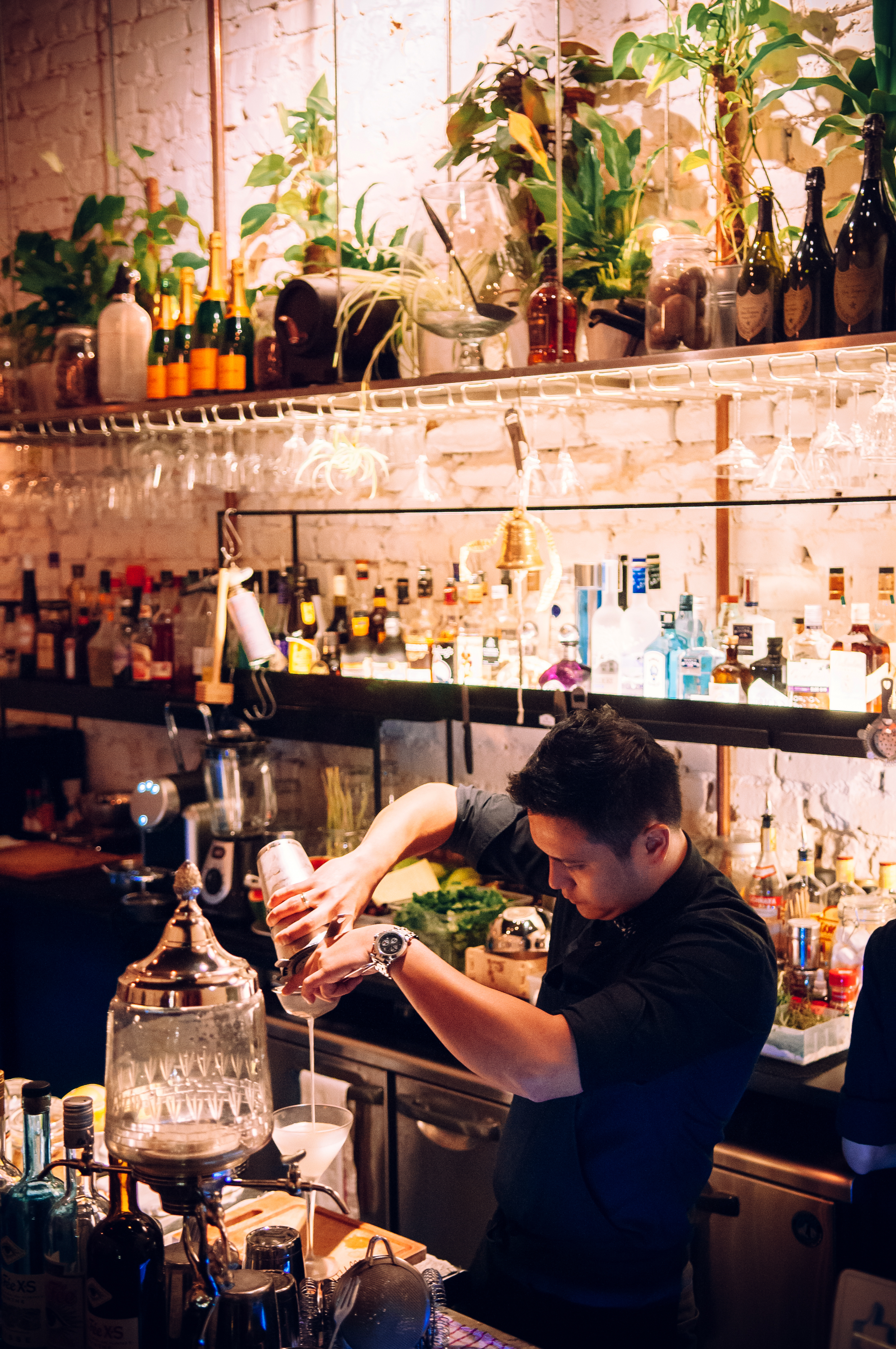 bartender