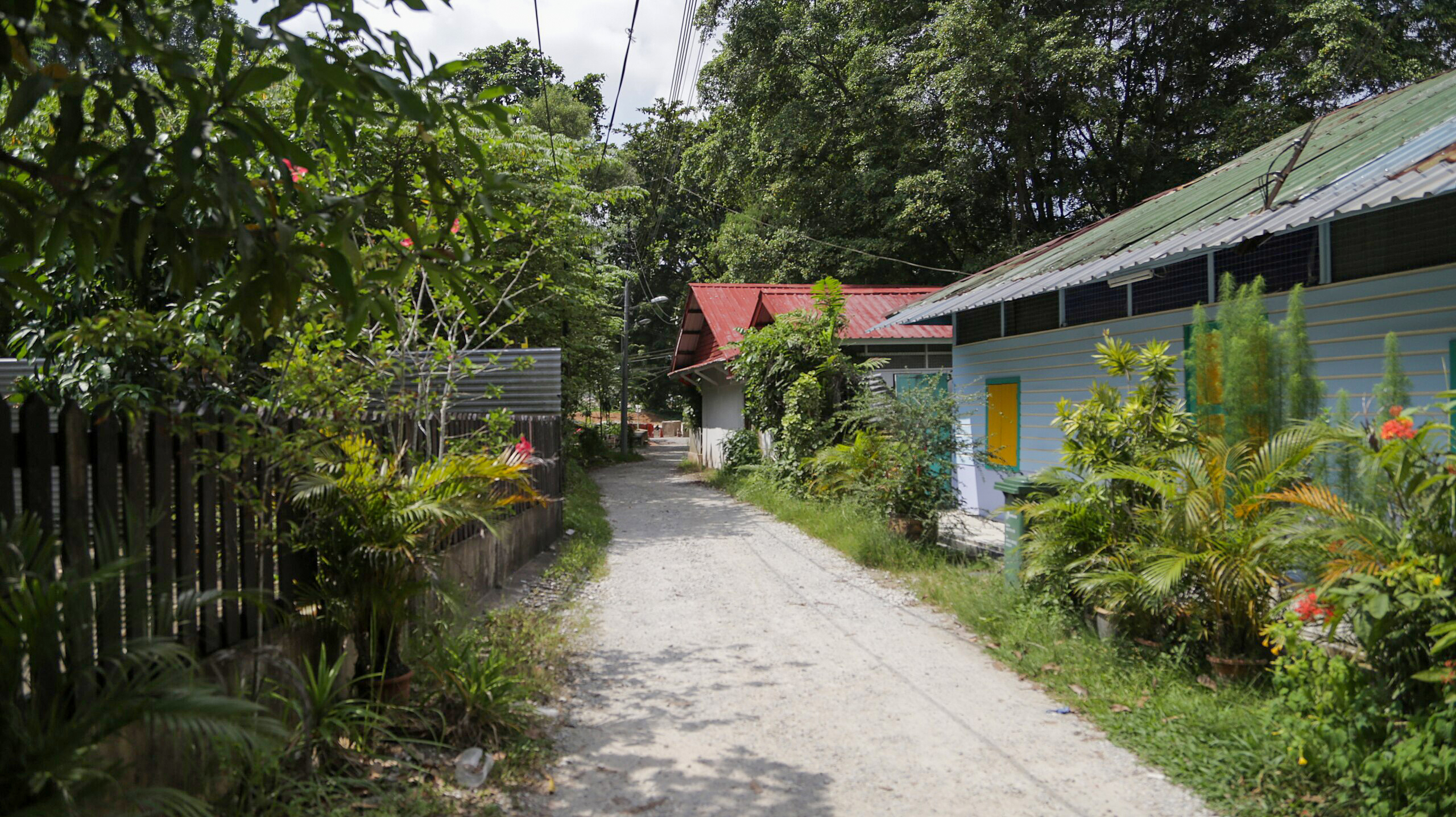 Buangkok