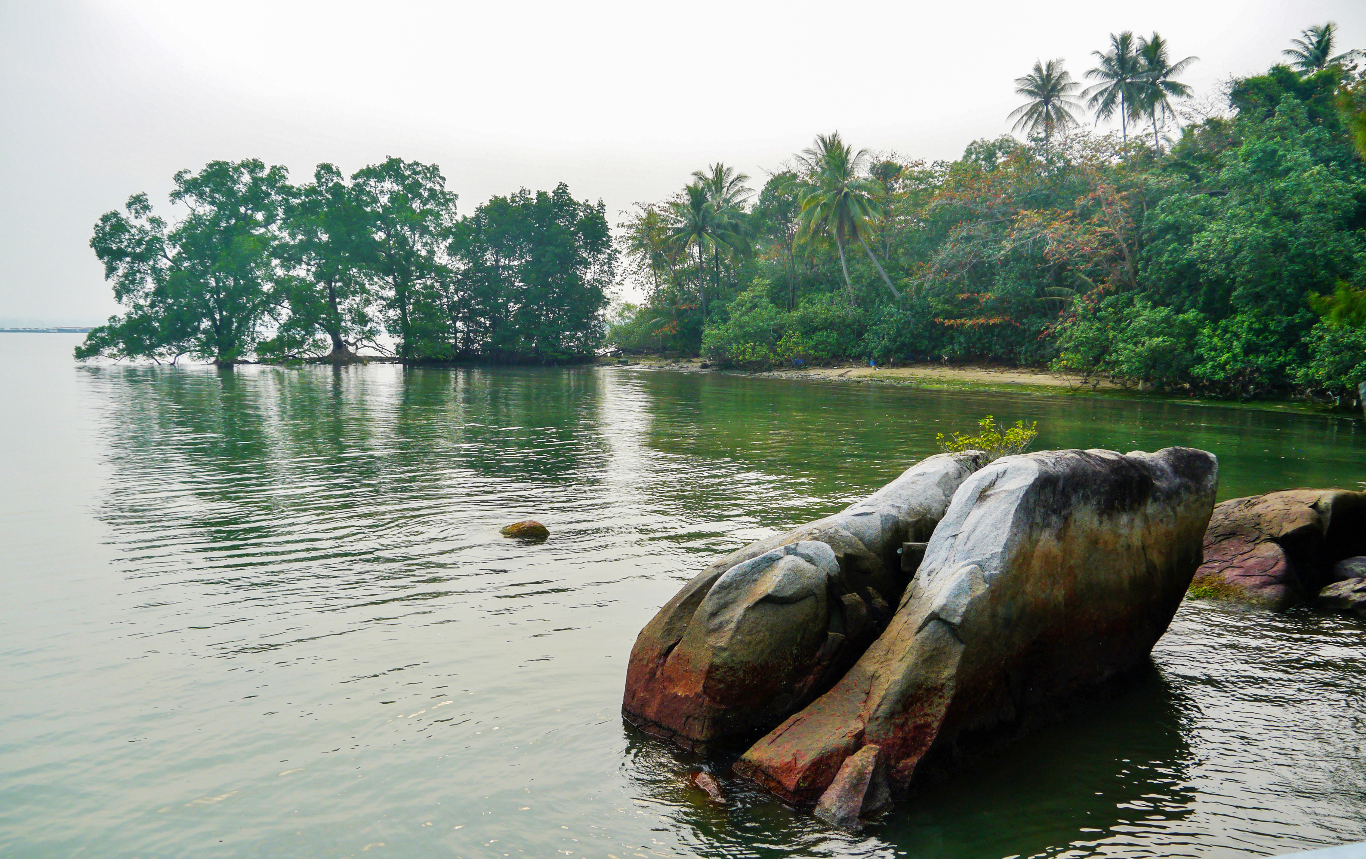 Chek Jawa