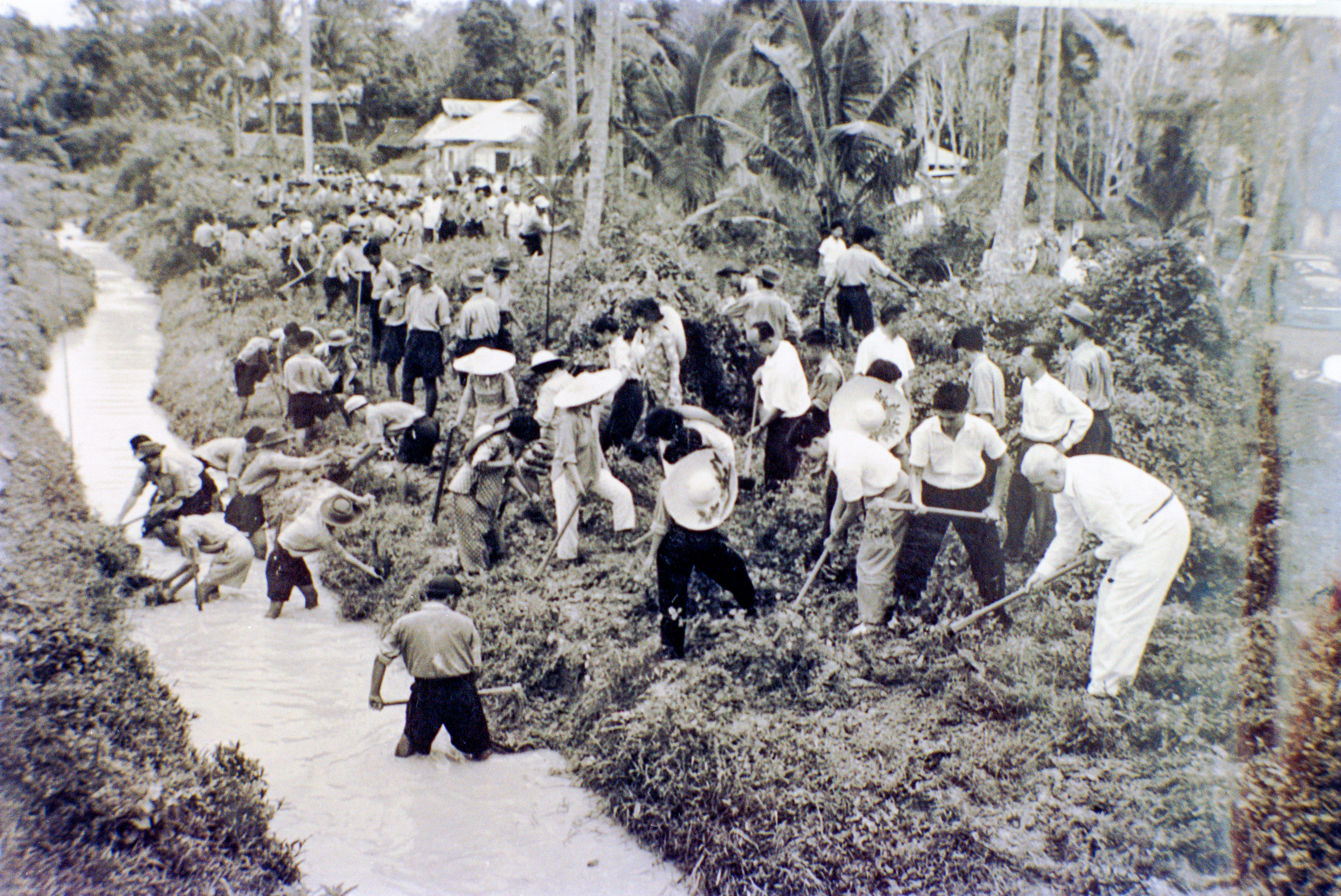 kampung spirit