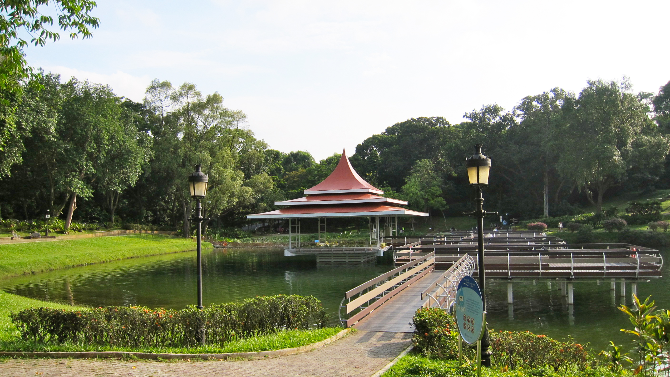 MacRitchie Reservoir Park