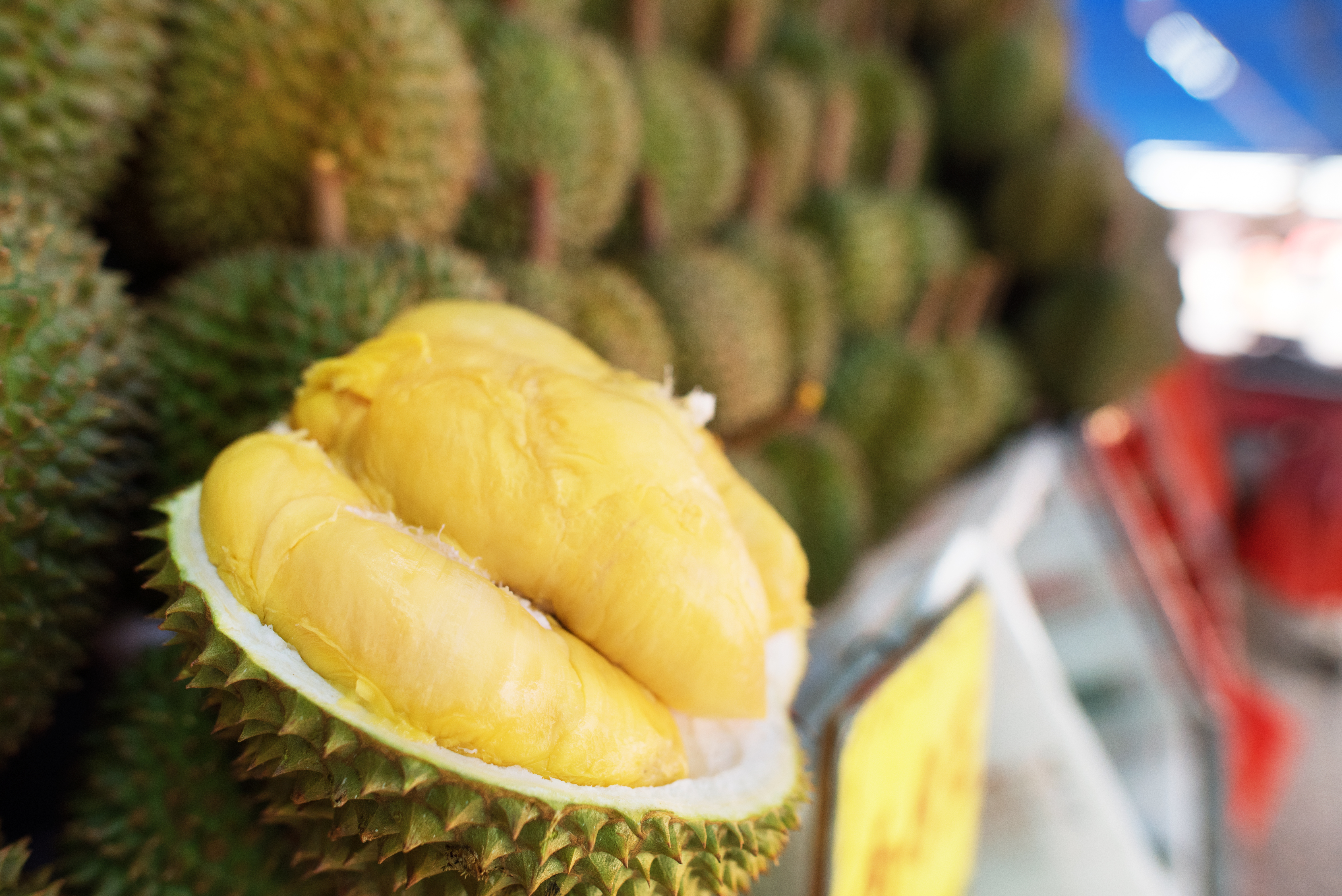 durian